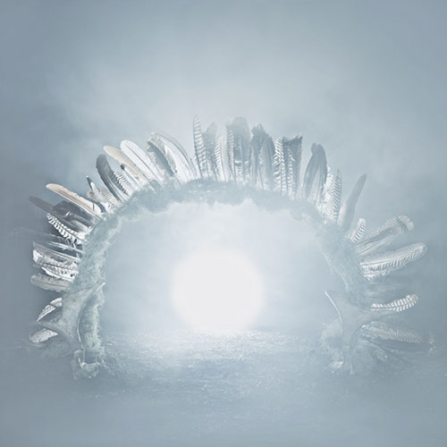 Witness by Photographer Troy Moth