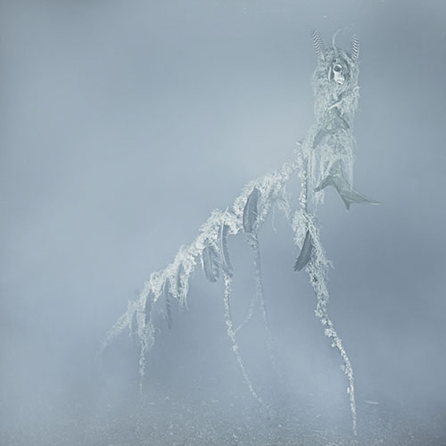 Witness by Photographer Troy Moth