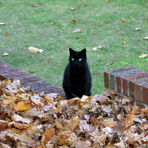 Best of Instagram: 5 Photographers to Follow