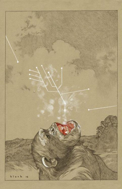 illustrations by steven russel black