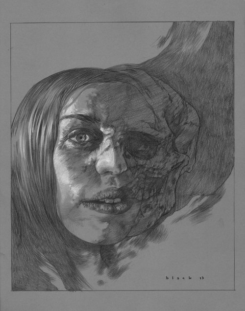 illustrations by steven russel black