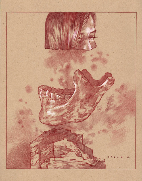 illustrations by steven russel black