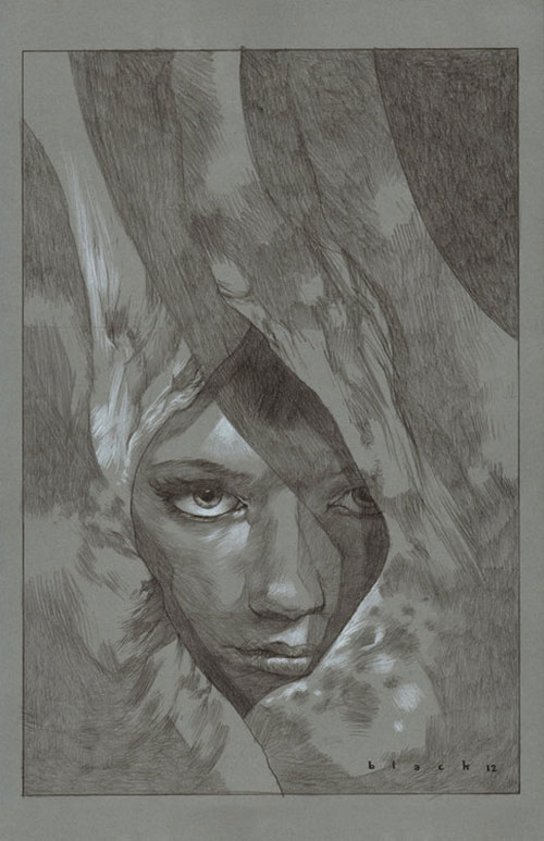 illustrations by steven russel black