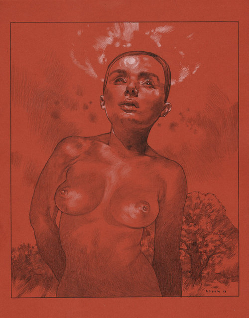 illustrations by steven russel black