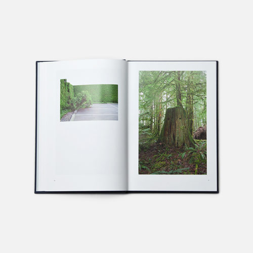 Queen of Tsawassen photo book curated by TwelveBooks