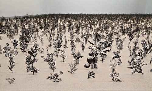 Zadok Ben-David steel sculptures blackfield