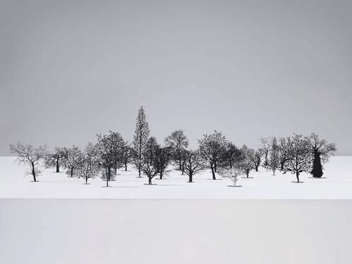 Zadok Ben-David steel sculptures blackfield