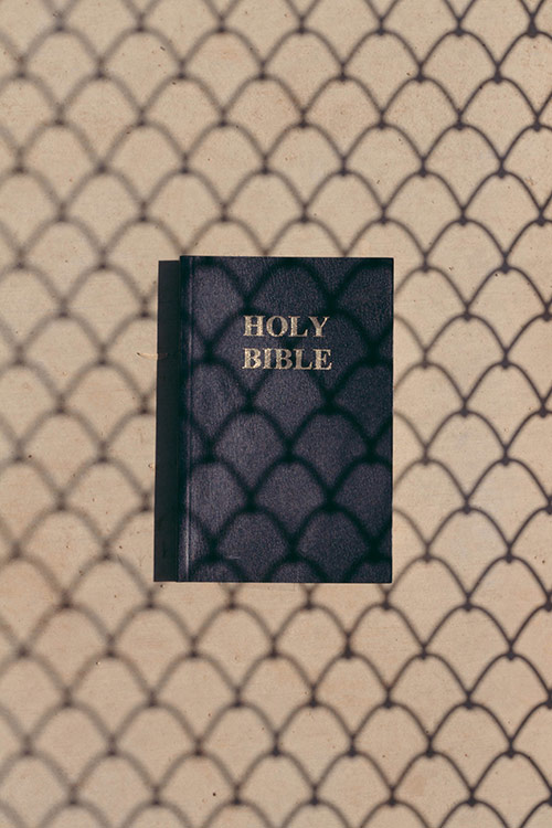 Photographer Brian Vu