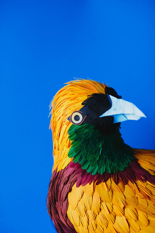 artist Diana Beltrán Herrera paper bird sculptures
