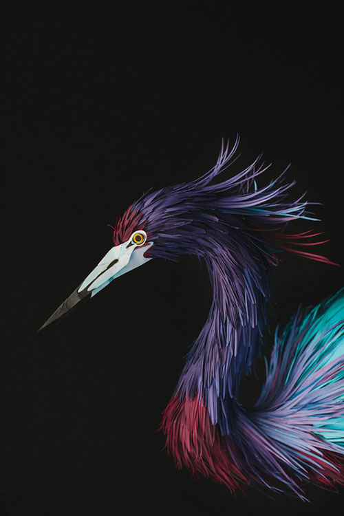 artist Diana Beltrán Herrera paper bird sculptures