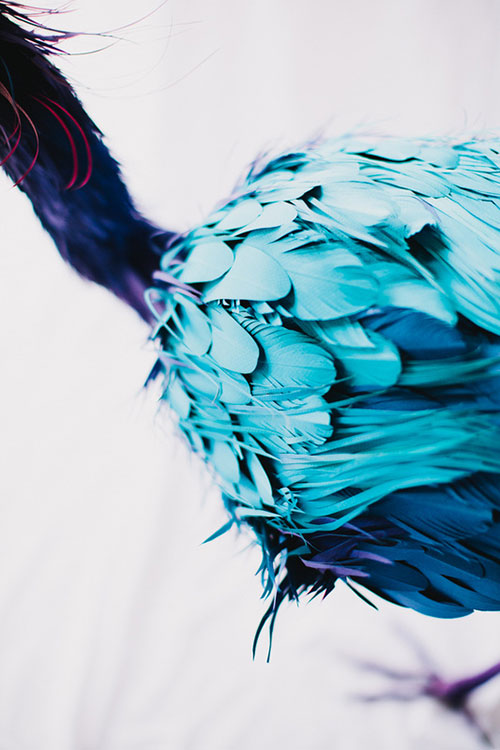 artist Diana Beltrán Herrera paper bird sculptures