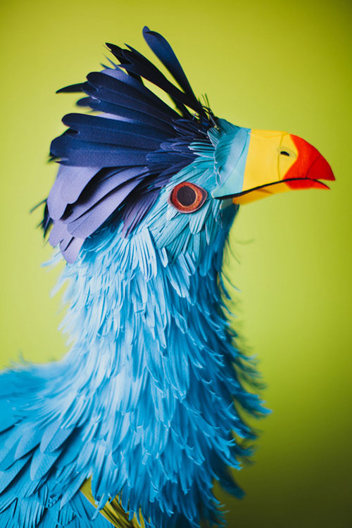 artist Diana Beltrán Herrera paper bird sculptures