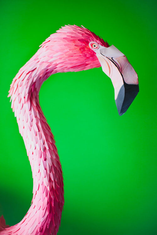 artist Diana Beltrán Herrera paper bird sculptures