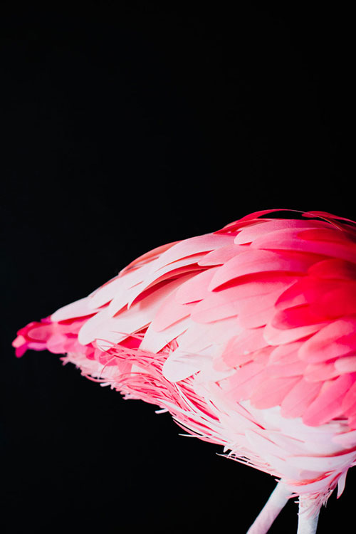 artist Diana Beltrán Herrera paper bird sculptures