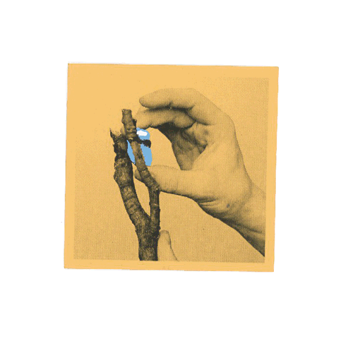 evaneisel6 artist Evan Eisel