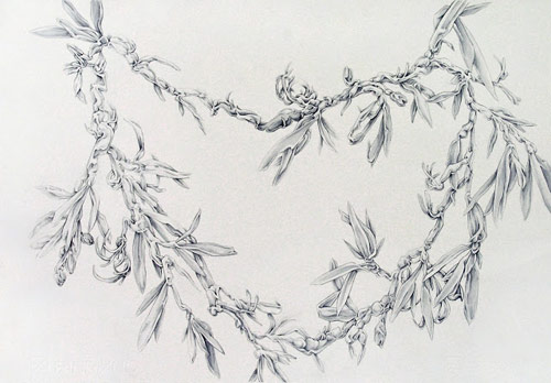 Drawings by artist Allyce Wood