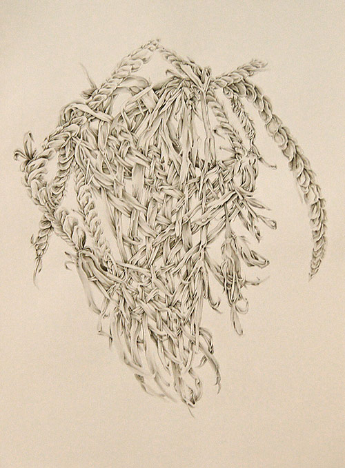 Drawings by artist Allyce Wood