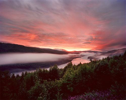 Photographer Felix Odell