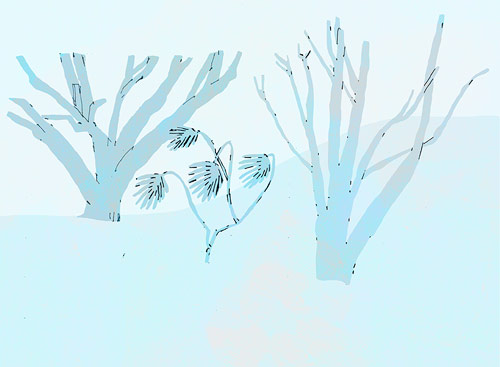 Klara Persson artist illustrator