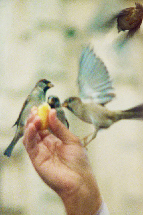 Photographer Kin Chan