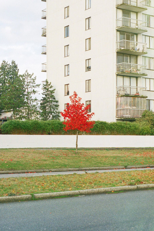 Photographer Kin Chan