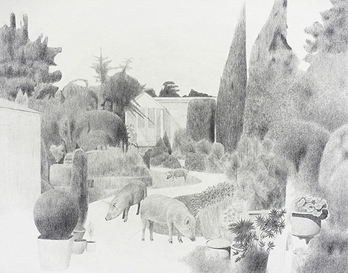 artist Duckhoon Gim drawing illustrations