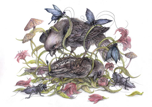 Artist Sam Yong drawings