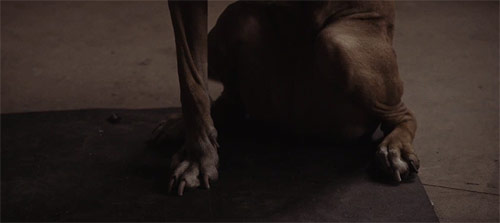 Efterklang Black Summer Official music video