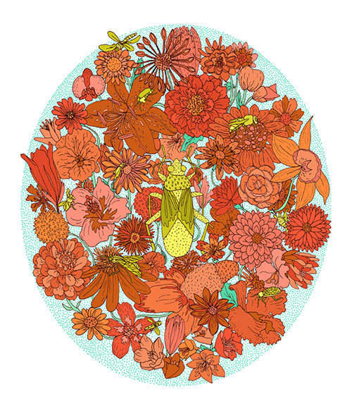 illustrations by Gaby D'Alessandro