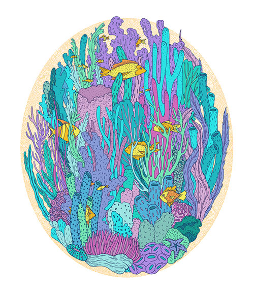 illustrations by Gaby D'Alessandro