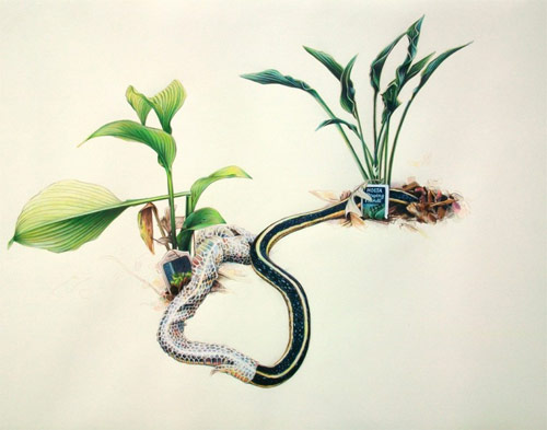 Drawings by artist Joe Sinness