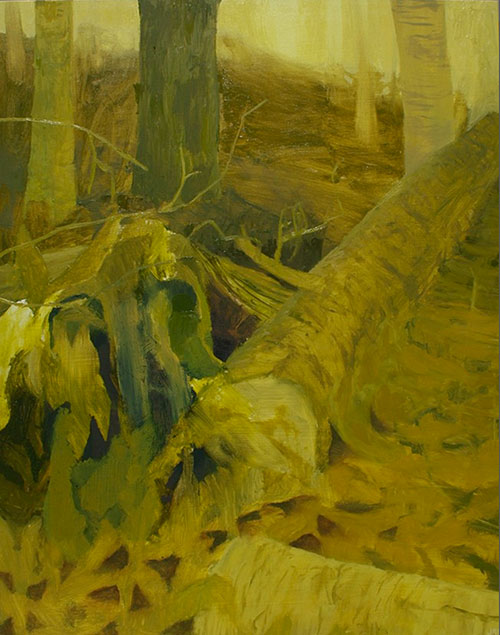 paintings by joseph Noderer