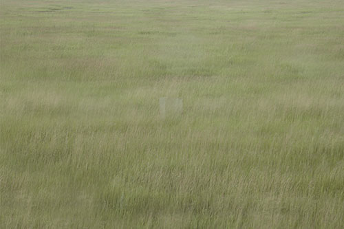 the Square by Seokmin Ko photography