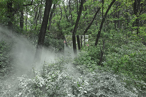 the Square by Seokmin Ko photography