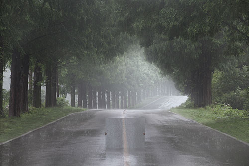 the Square by Seokmin Ko photography