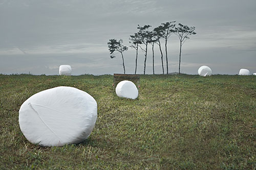 the Square by Seokmin Ko photography