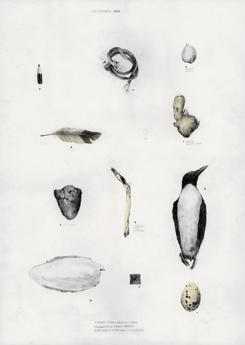 Illustrator Simon Prades