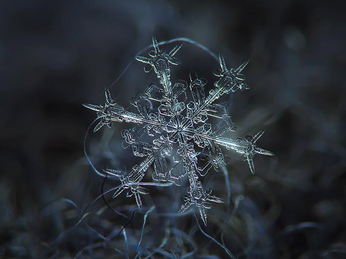 Photographer Alexey Kljatov Tapes Lens To Camera To Take Incredible Macro Snowflake Photos