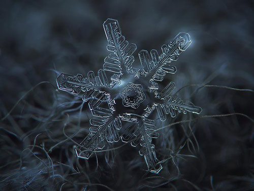 Photographer Alexey Kljatov Tapes Lens To Camera To Take Incredible Macro Snowflake Photos