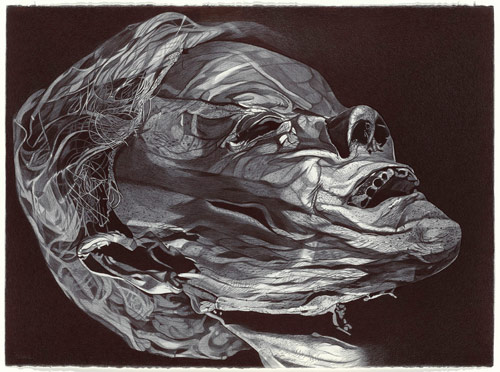 Ballpoint Pen Drawings by artist Boo Saville