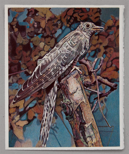 Ballpoint Pen Drawings by artist Boo Saville