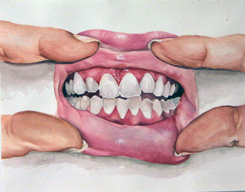 Drawings by artist Hannah Scott