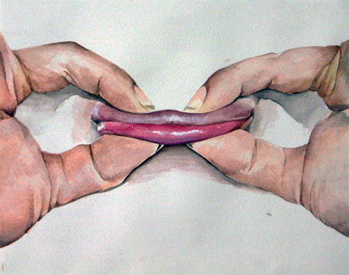 Drawings by artist Hannah Scott