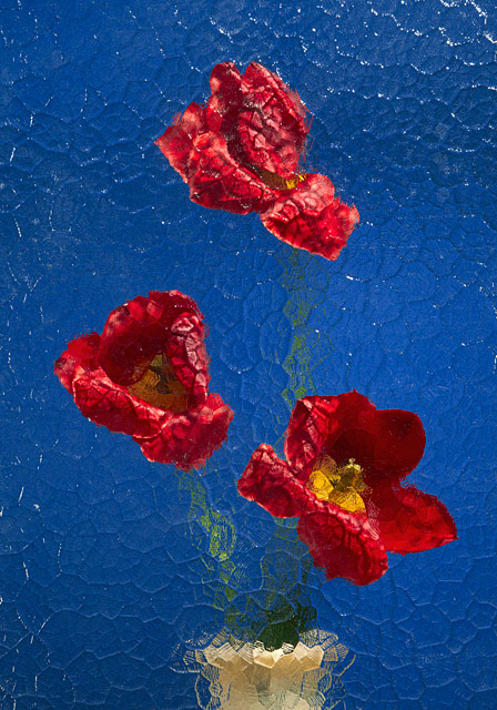 Photographer Matthieu Lavanchy