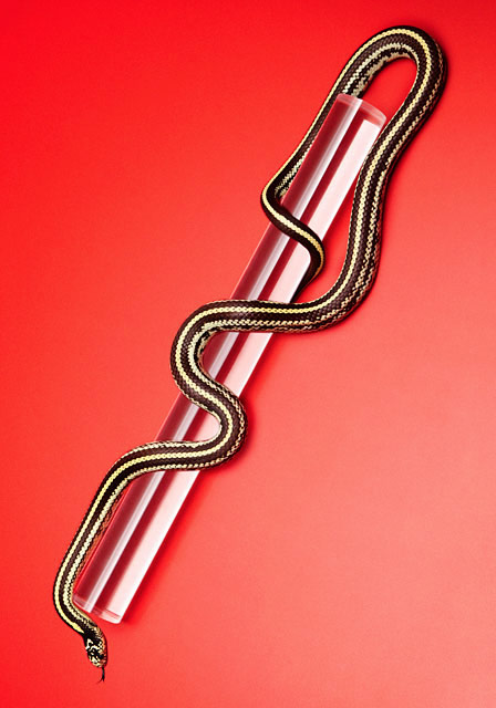 Photographer Matthieu Lavanchy