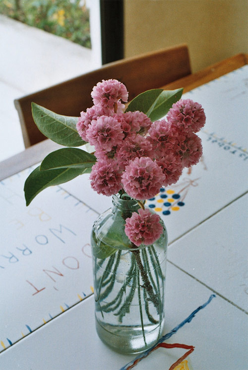 Olivia-Larrain-Heiremans-02