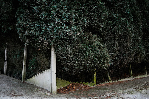 jorisvandecatseye_05