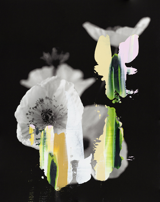 manipulated photographs by Nanna Hänninen