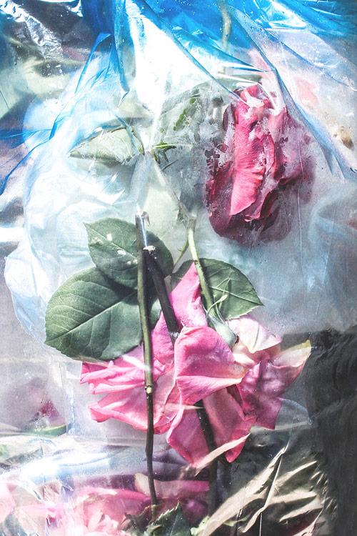 Francesco-Artibani-04