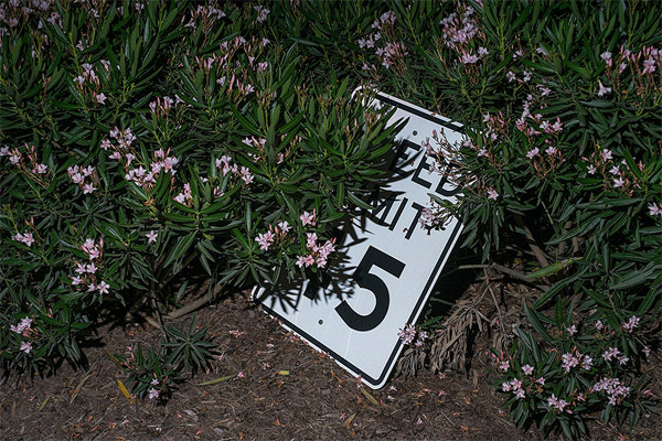 Maury-Gortemiller-04